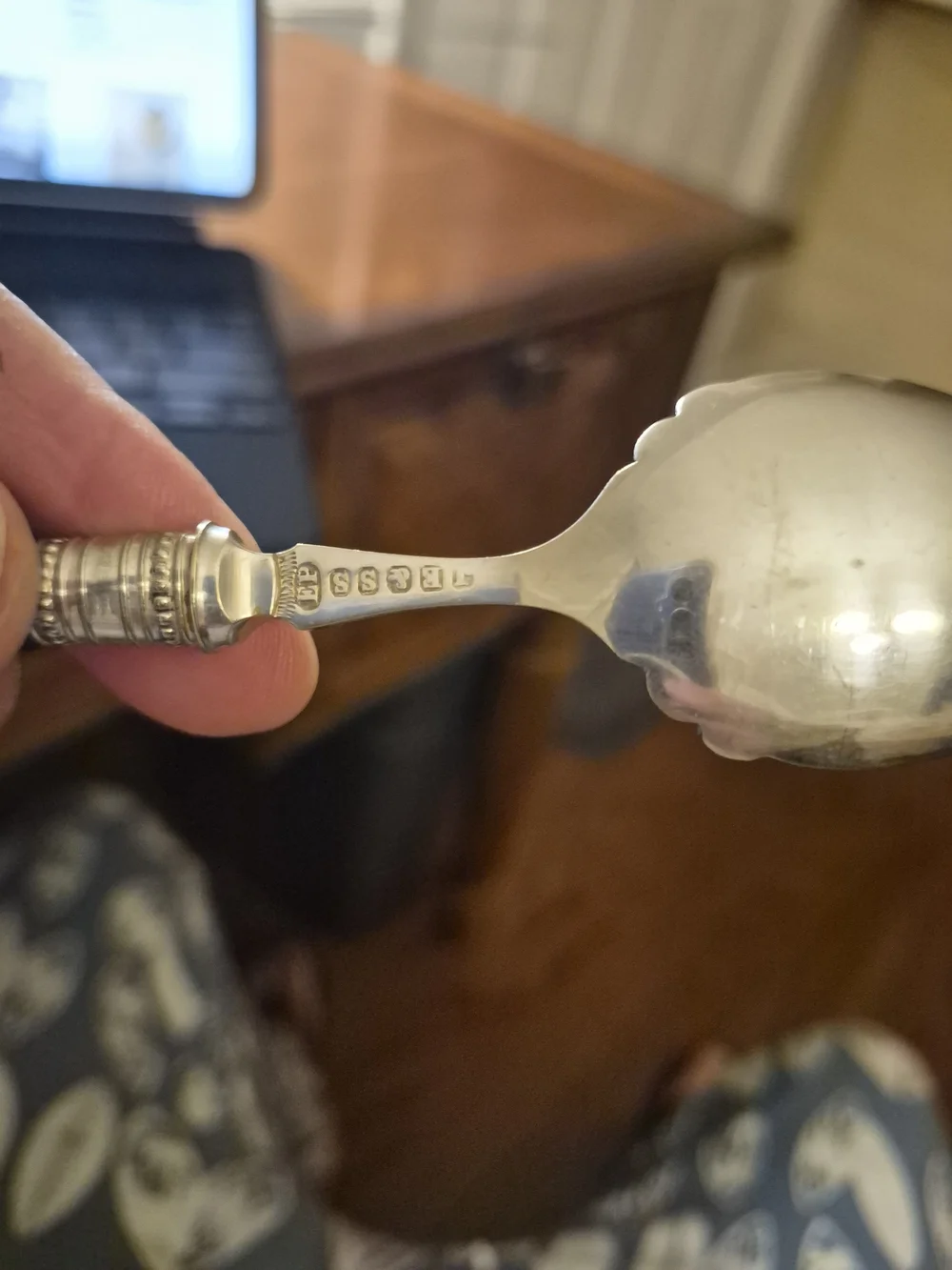 Vintage/Antique Joseph Elliott & Sons Silver Plated With Bone Handle Spoon